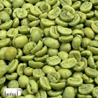 Natural Green Coffee Bean Extract with 50% Chlorogenic Acid