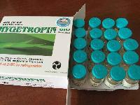 8iu/vial Hygetropin Human Growth Hormone Supplements Hygetropin HGH Jintropin