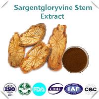 Sargentgloryvine Stem Extract