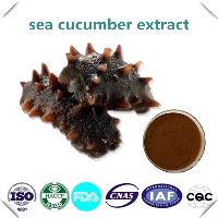 sea cucumber extract