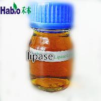 lipase for producing biodiesel