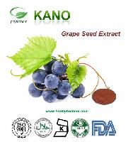 Vitis Vininfera Extract Grape Seed Extract 9%OPC by UV
