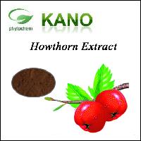 Hawthorn Berry Extract 10% Flavonoids