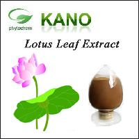 Lotus Leaf Extract 2% Nuciferine by HPLC