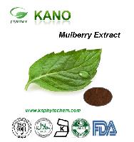 Morus AlbaL Extract Mulberry Extract 1%DNJ Baoji Kano Phytochem