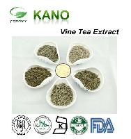 Vine Tea Extract 98%