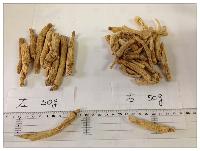High Quality Low Pesticide White Ginseng Roots,low pestcide ginseng ,Panax ginseng