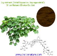 Ivy extract,Hederahelix L