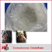 Bodybuilding Chemical Steroid Powder Hormone Cas 315-37-7 Testosterone Enanthate