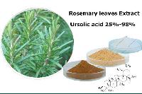 Rosemary leaves Extract Ursolic acid