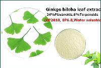 Ginkgo biloba leaf extract