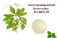 Panax ginseng root extract