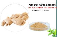 Vegetable extract Ginger Root Extract, ginger powder