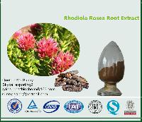 Rhodiola Rosea Root Extract