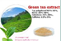 Green tea extract powder Tea polyphenol, EGCG, Catechins, L-theanine