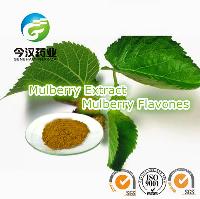 Mulberry Leaf Extract Flavonoids