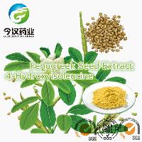 Fenugreek Seed Extract 4-Hydroxyisolecine