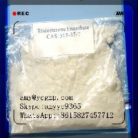 Testosterone Enanthate (male hormone)CAS 315-37-7