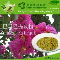 Good quality plant extract Banaba extract;Corosolic acid 1%-20%