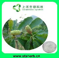 Good quality plant extract Magnolia Bark Extract ;Magnolol 2%-98%;Honokiol 2%-98%;Honokiol +Magnolol 2%-98%