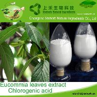 Good quality plant extract Eucommia Leaf Extract;Chlorogenic acid 5-98%