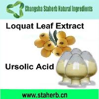 Good quality plant extract Loquat leaf extract；Maslinic acid 10-98%