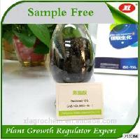 High activity natural fertilizer Seaweed essence powder 98%