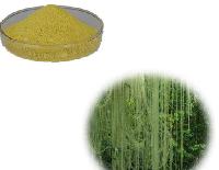 Usnic acid 98% Lichen Usnea Extract
