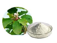 Magnolia Bark Extract, 95% 98% Magnolia Magnolol Honokiol Supplement