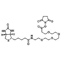 (+)-Biotin-PEG4-NHS Ester