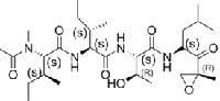 L-Threoninamide,N-acetyl-N-methyl-L-isoleucyl-L-isoleucyl-N-[(1S)-3-methyl-1-[[(2R)-2-methyl-2-oxiranyl]carbonyl]butyl]-