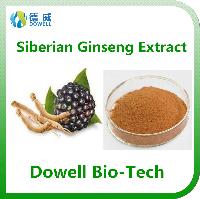 Kosher Ceitified High Quality Siberian Ginseng Extract Eleutheroside（B+E）0.8%