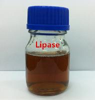 Superior Lipase for Detergent Powder or Liquid