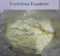 Best Quanlity 99% Trenbolone Enanthate CAS No: 472-61-546 Hormone Steroids Raw Powder