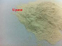 High Quality Lipase for Leather Additives