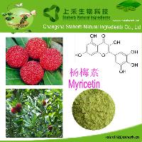 Liver protect/Vine tea extract/myricetin/529-44-2