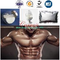 Anabolic Steroid Powder Mestanolone Ace for Muscle Building