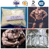 Dehydronandrolone Acetate Tren Anabolic Steroid Muscle Building Steroids CAS 2590-41-2