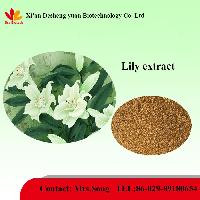 Lily extract