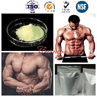 Trenbolone Steroids Trenbolone Base 98% CAS 10161-33-8 Muscle Building Steroids Powder