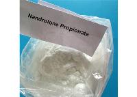 Nandrolone Propionate CAS 7207-92-3 Nandrolone 17-Propionate Effective Bodybuilding and Muscle Growth