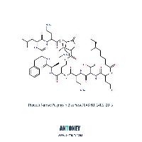 Polymyxin B Sulfate FDA Certificated USP35.39.40 EP8.0 9.0