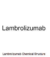 Pembrolizumab;Lambrolizumab(MK-3475)