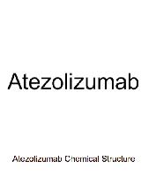 Atezolizumab(Synonyms: MPDL3280A)